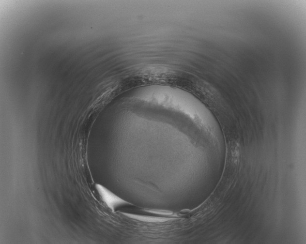 X0000080151060200612151824