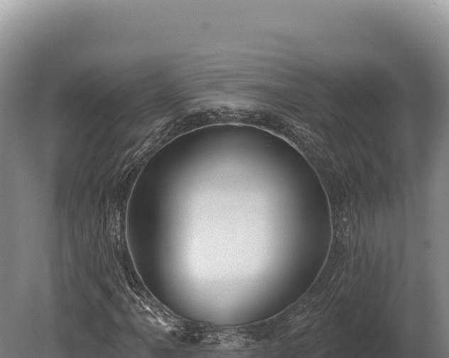 X0000080151061200612151824