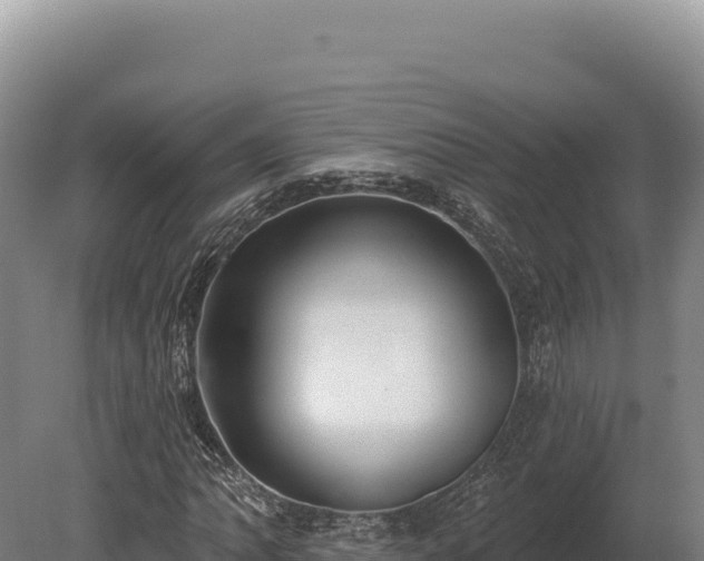 X0000080151062200612151824