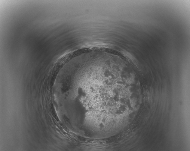 X0000080151063200612151824