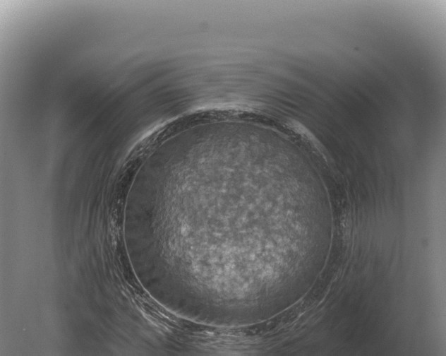 X0000080151064200612151824