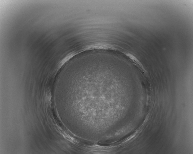 X0000080151065200612151824