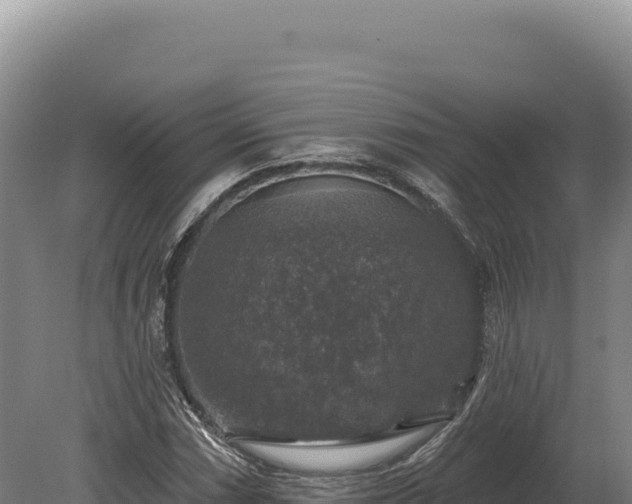 X0000080151066200612151824