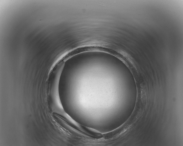 X0000080151069200612151824