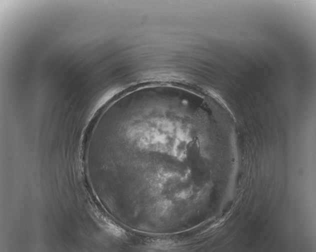 X0000080151071200612151824