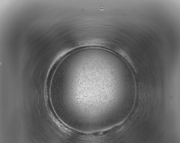 X0000080151072200612151824