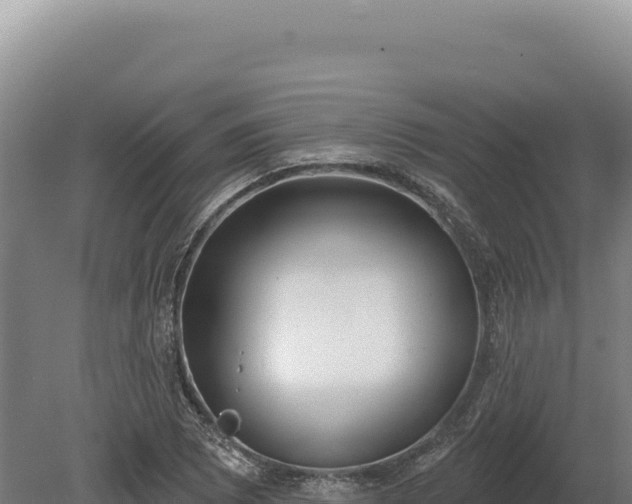 X0000080151073200612151824