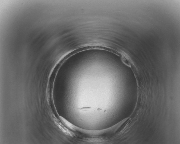 X0000080151076200612151824