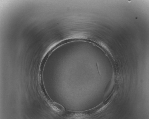 X0000080151077200612151824