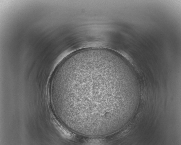 X0000080151078200612151824