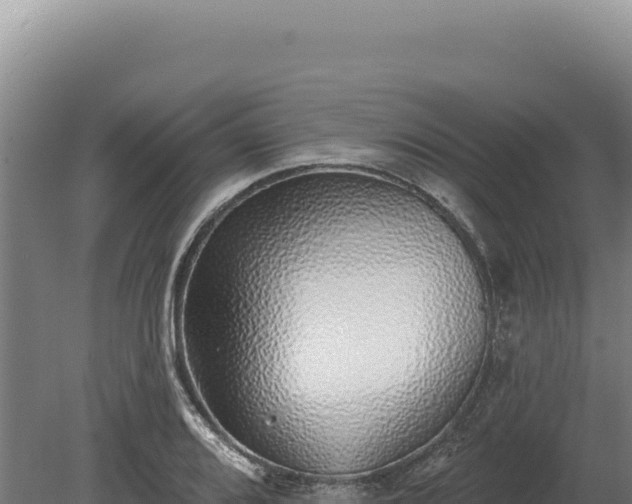 X0000080151080200612151824