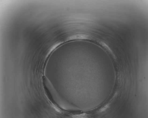 X0000080151081200612151824