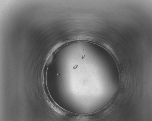 X0000080151082200612151824