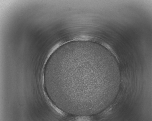 X0000080151083200612151824