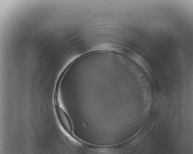 X0000080151084200612151824