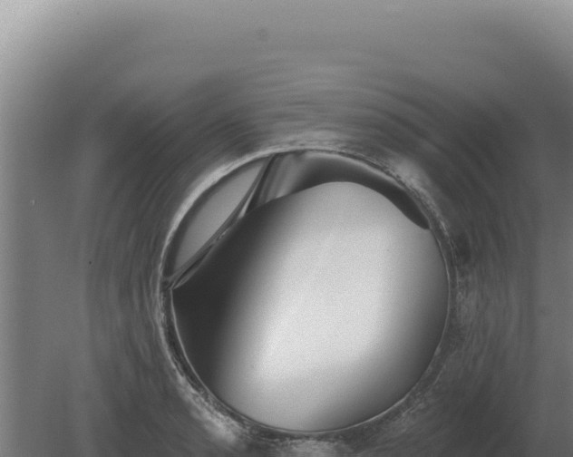 X0000080151085200612151824