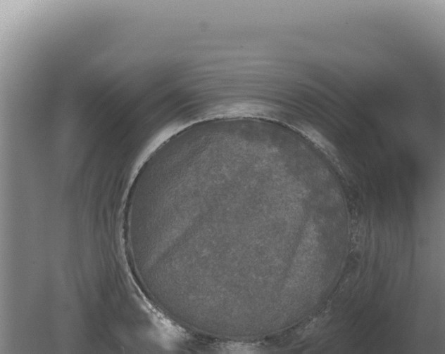 X0000080151086200612151824