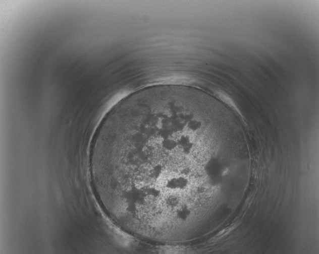 X0000080151087200612151824