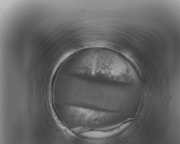 X0000080151088200612151824