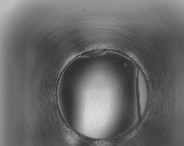 X0000080151089200612151824