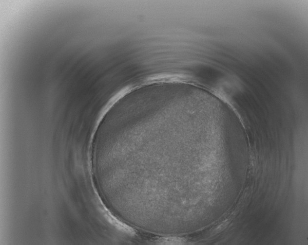 X0000080151090200612151824