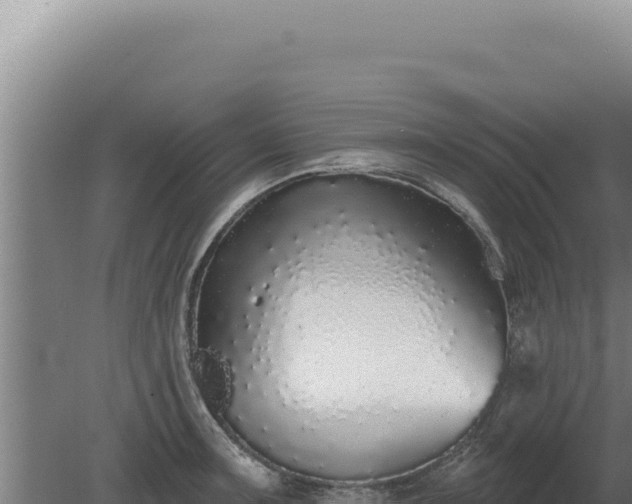 X0000080151091200612151824