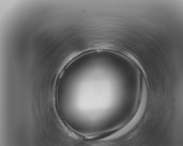 X0000080151093200612151824