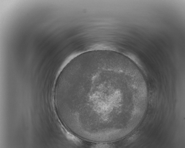 X0000080151094200612151824