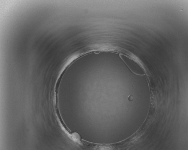 X0000080151095200612151824