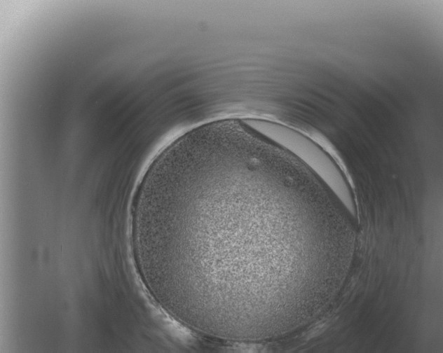 X0000080151096200612151824