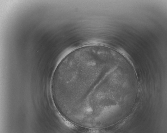 X0000080151098200612151824