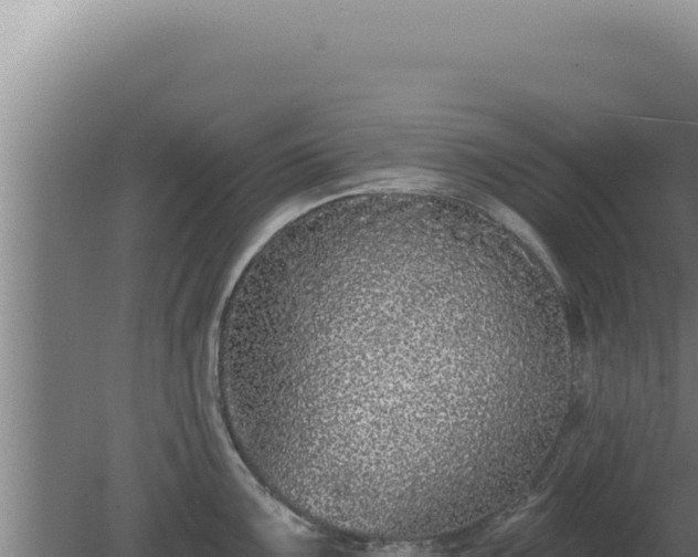 X0000080151099200612151824