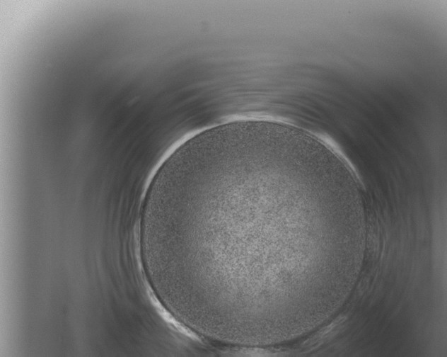 X0000080151100200612151824