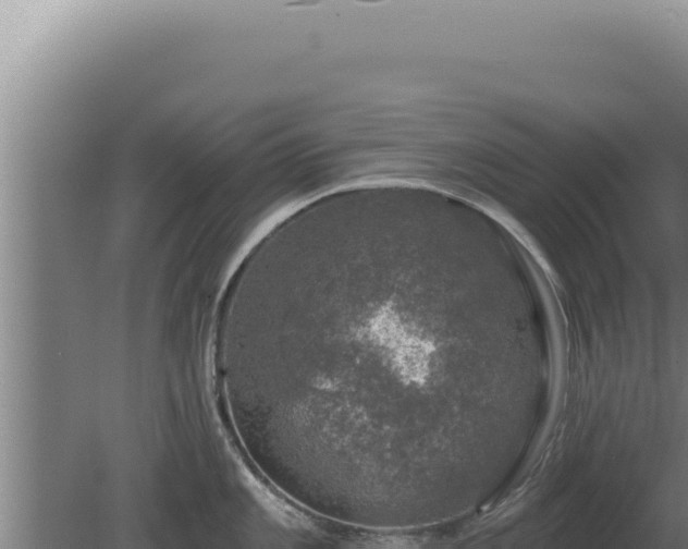 X0000080151101200612151824