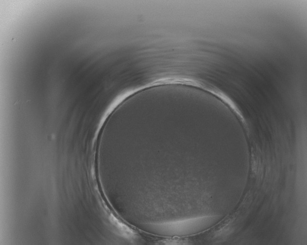 X0000080151102200612151824