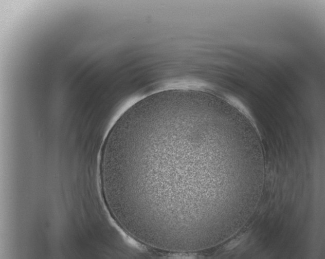 X0000080151103200612151824