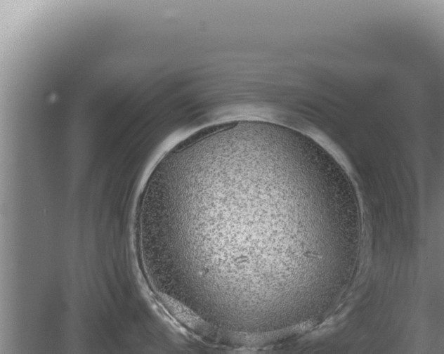 X0000080151104200612151824