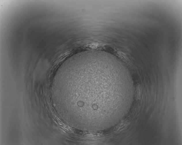 X0000080151105200612151823