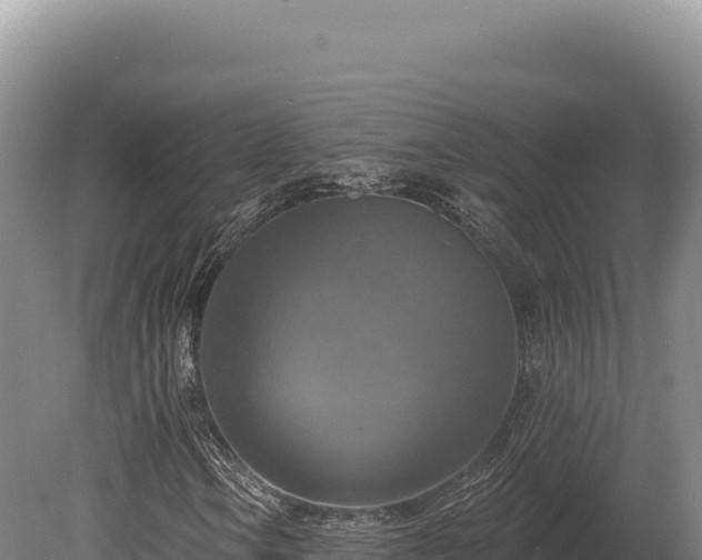 X0000080151106200612151823