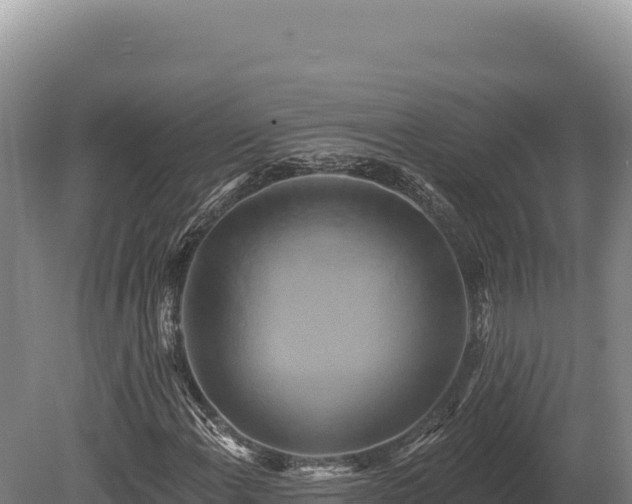 X0000080151108200612151823