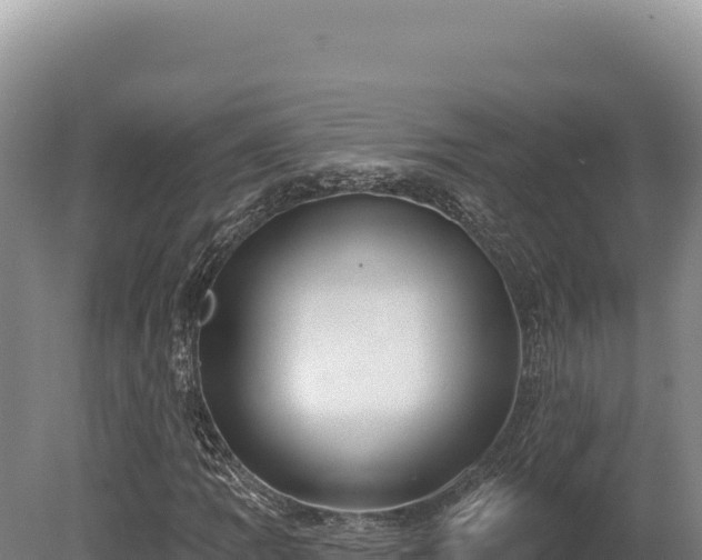 X0000080151109200612151823