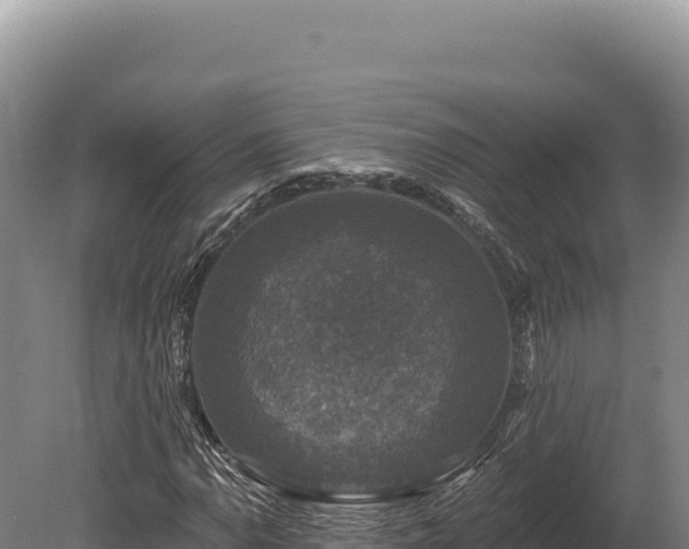 X0000080151110200612151823