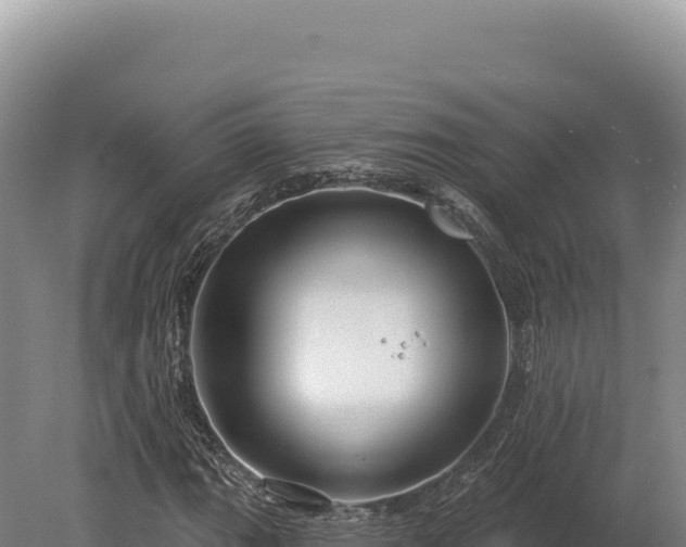 X0000080151111200612151823