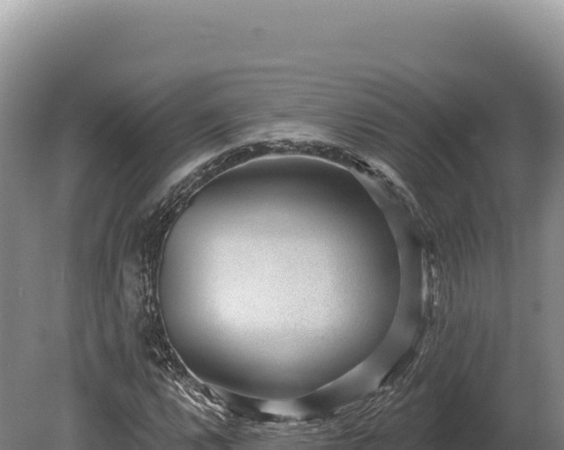 X0000080151112200612151823