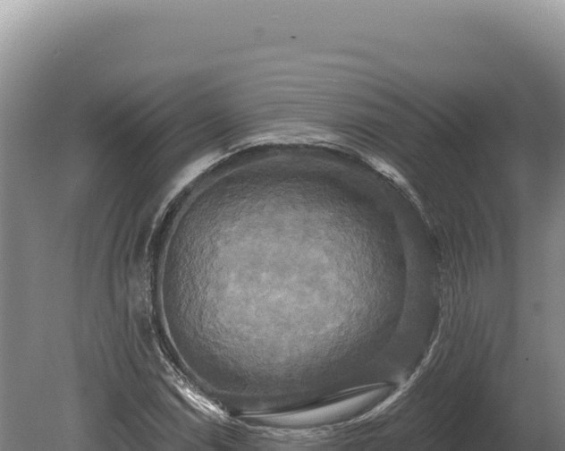 X0000080151114200612151823