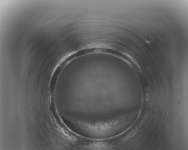 X0000080151117200612151823