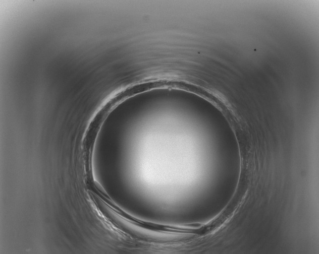 X0000080151118200612151823