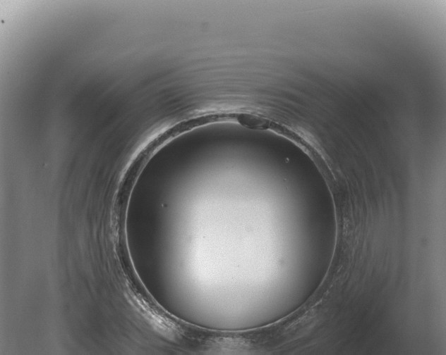 X0000080151119200612151823