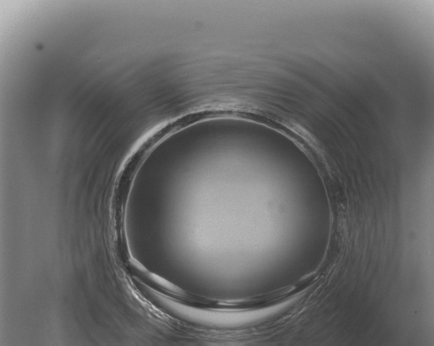 X0000080151120200612151823