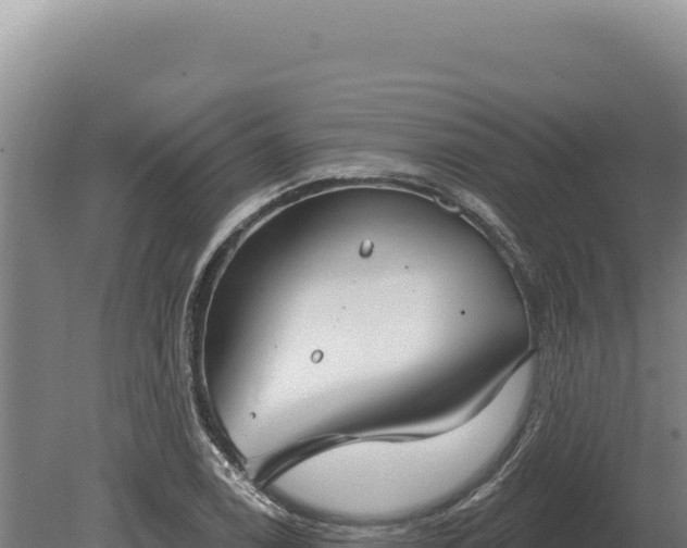 X0000080151122200612151823